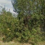 CHALUPA INTERIÉRY s.r.o.