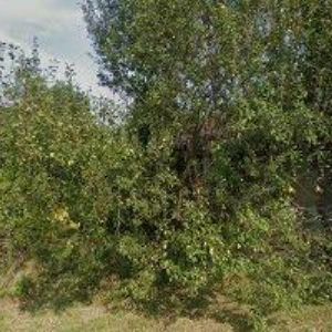 obrazek: avatar CHALUPA INTERIÉRY s.r.o.