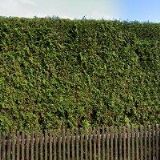 KOŠUN JIŘÍ-TRUHLÁŘSTVÍ