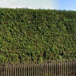 obrazek: avatar KOŠUN JIŘÍ-TRUHLÁŘSTVÍ