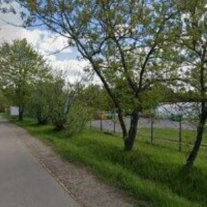 obrazek: avatar DŘEVOJAS