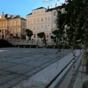 obrazek: avatar BISPOL GOLD s.r.o.