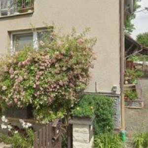 obrazek: avatar BLAHNÍK LUŠKOVÁ MARTINA BcA.