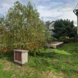 obrazek: avatar STARÁ PLUS, v.o.s.