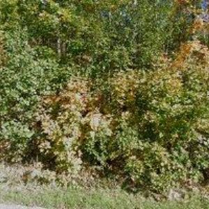 obrazek: avatar TECHNOCOM PLUS s.r.o.