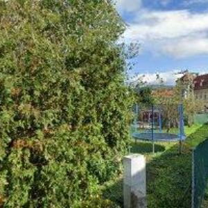 obrazek: avatar AA PALIVOVÉ DŘEVO s.r.o.