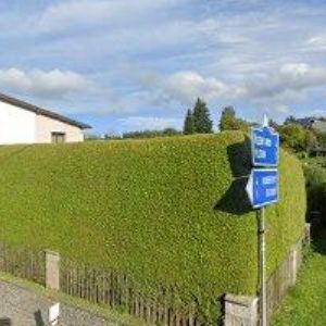 obrazek: avatar TRUHLÁŘSTVÍ ČEJCHAN