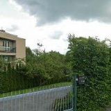 KRÁL PAVEL-TĚŽBA DŘEVA