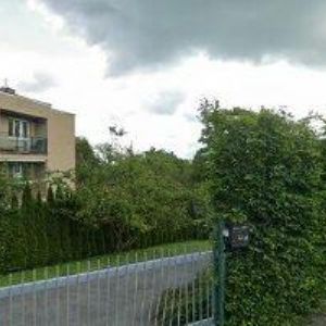 obrazek: avatar KRÁL PAVEL-TĚŽBA DŘEVA