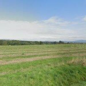 obrazek: avatar HAVEL DANIEL