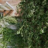 EBERT MARTIN-TRUHLÁŘSTVÍ