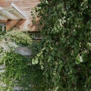 obrazek: avatar EBERT MARTIN-TRUHLÁŘSTVÍ