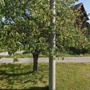 obrazek: avatar ČERNOHORSKÝ LIBOR