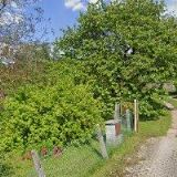 TRUHLÁŘSTVÍ-FIRBAS PAVEL