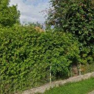 obrazek: avatar KAMENICKÝ KAREL-TRUHLÁŘSTVÍ