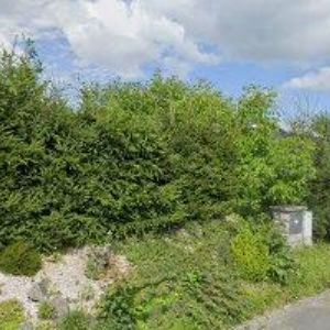 obrazek: avatar MIKMEK-SRUBY