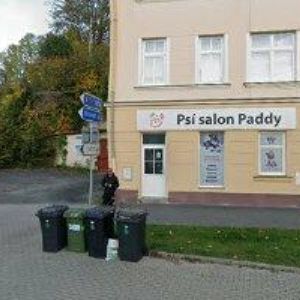 obrazek: avatar KUŘÁKŮVSEN.CZ