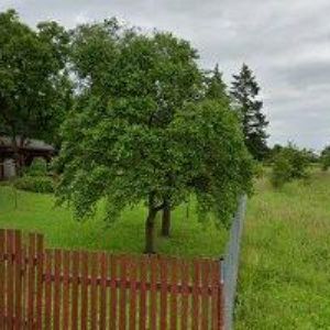 obrazek: avatar KASAL JIŘÍ