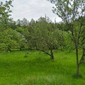 obrazek: avatar HEGER FRANTIŠEK-TRUHLÁŘSTVÍ