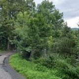 ZAKÁZKOVÉ TRUHLÁŘSTVÍ OLŠAR