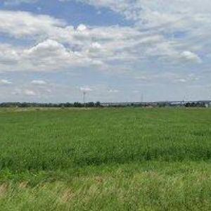 obrazek: avatar KUCHYNĚ PIŇOS