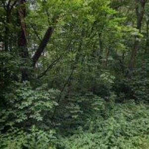 obrazek: avatar TAPO LIVING s.r.o.