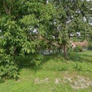 obrazek: avatar ŠAFRÁNEK LADISLAV