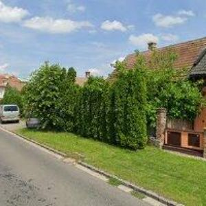 obrazek: avatar PULTAR ROMAN