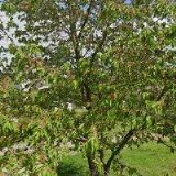 ŠKRANC MARTIN-TRUHLÁŘSTVÍ