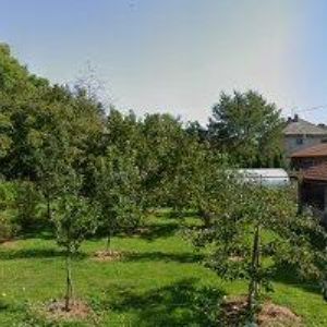 obrazek: avatar ANEL