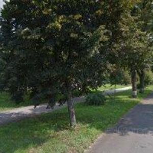 obrazek: avatar DGF a.s.