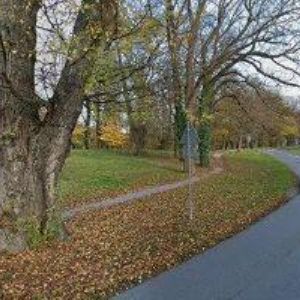 obrazek: avatar JURÁŇ PETR