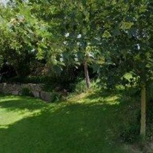 obrazek: avatar RAUŠER PAVEL