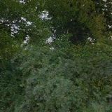 ŠTEFANSKÝ LADISLAV-SANITACE