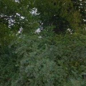 obrazek: avatar ŠTEFANSKÝ LADISLAV-SANITACE