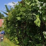 MATĚJÍČEK JAN-DŘEVOSTAVBY