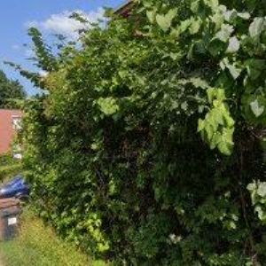 obrazek: avatar MATĚJÍČEK JAN-DŘEVOSTAVBY