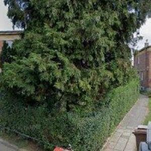 obrazek: avatar BAZÁREK KNOFLÍČEK