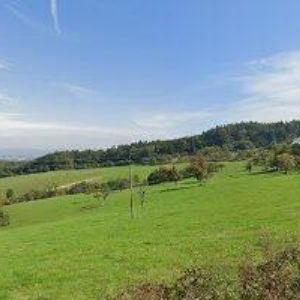 obrazek: avatar MATOUŠEK ONDŘEJ