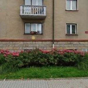 obrazek: avatar MAJA CORPORATION s.r.o.