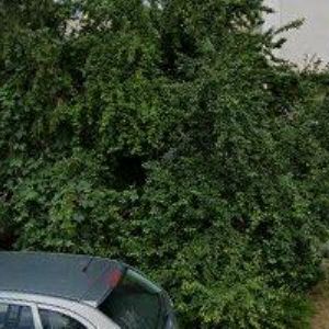 obrazek: avatar TRUHLÁŘSTVÍ-DŘEVĚNÉ PODLAHY