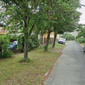 obrazek: avatar FORŠT OTTO