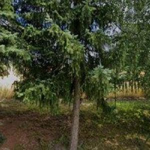 obrazek: avatar ZABEZPEČENÍ-KŘENEK.CZ