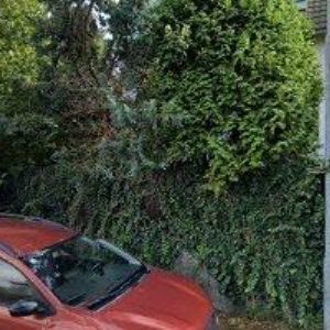 obrazek: avatar NOVÁK MARTIN Ing.-BIOPROTECT CZ