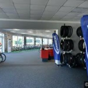 obrazek: avatar KOLA PEŠEK