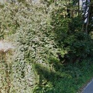 obrazek: avatar ROCK SHOX