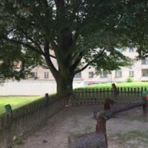 obrazek: avatar RYFIZ