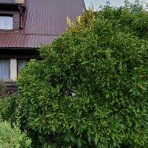 obrazek: avatar HOLEC JIŘÍ