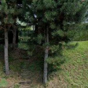 obrazek: avatar SE-WING s.r.o.