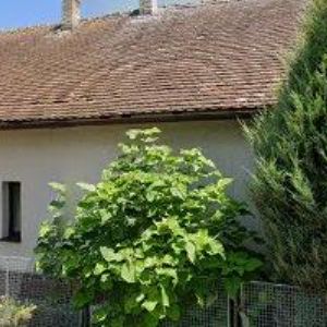 obrazek: avatar HW ART s.r.o.